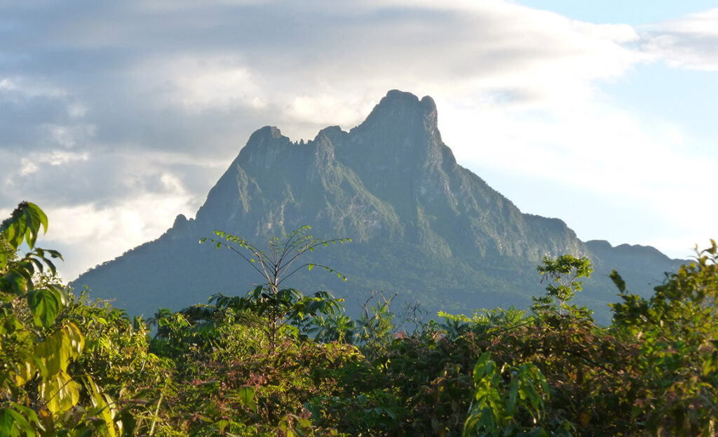 altura do pico da neblina